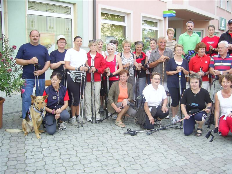 2008-07-13 10-jhriges Oldtimertreffen in Pinkafeld